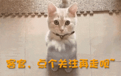 间并没有什么过于亲密的关系